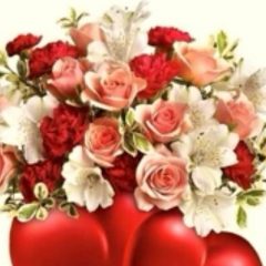 Pencinta Wali Allah.